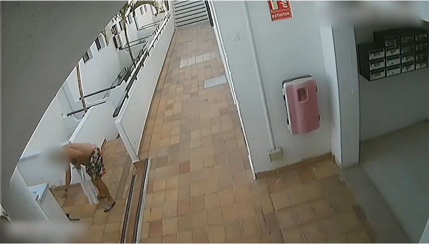 maltrato animal vecindario