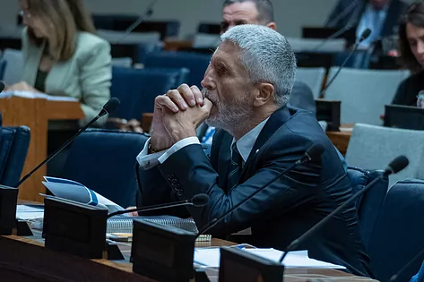 marlaska en la onu