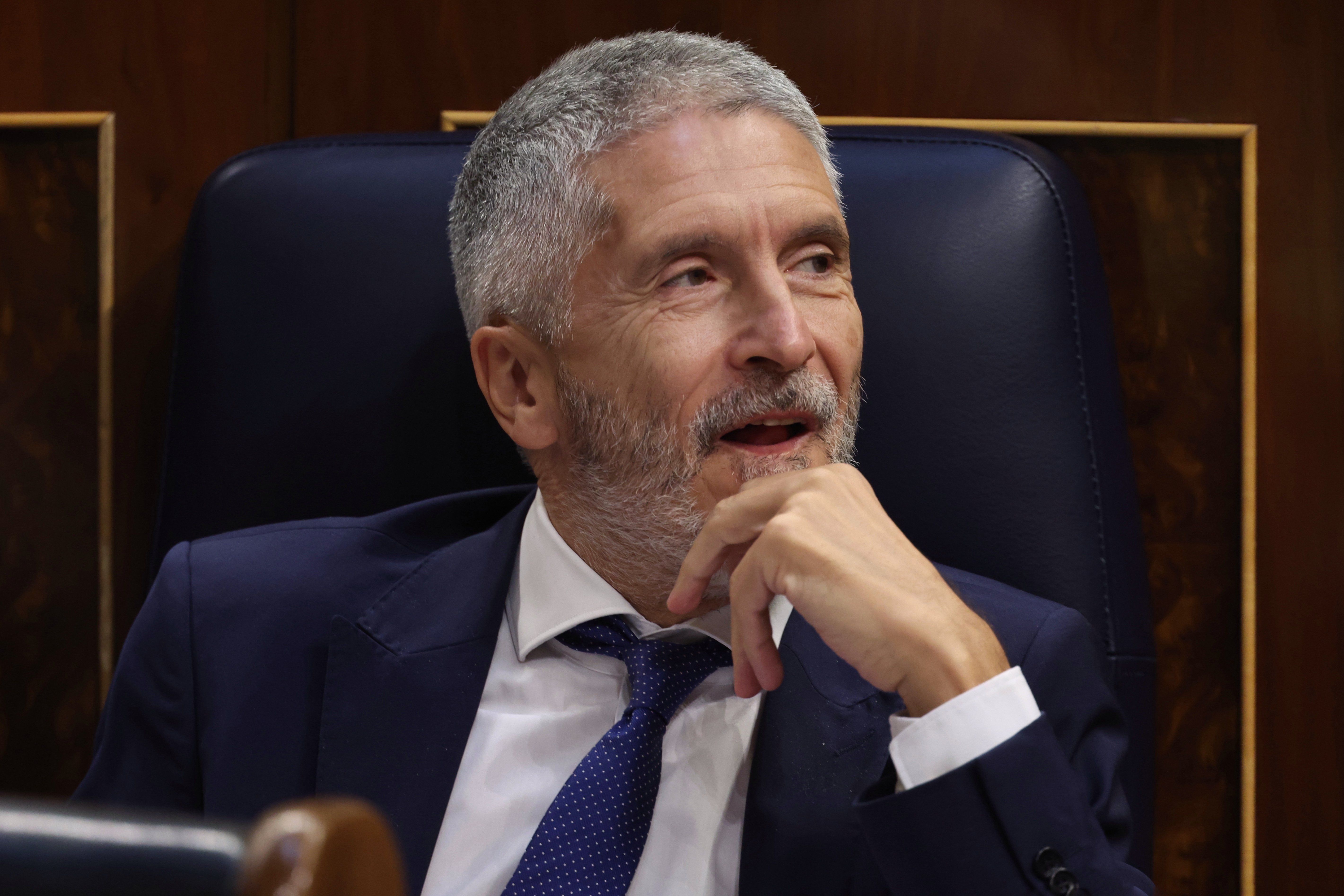 ministre interior fernando grande marlaska