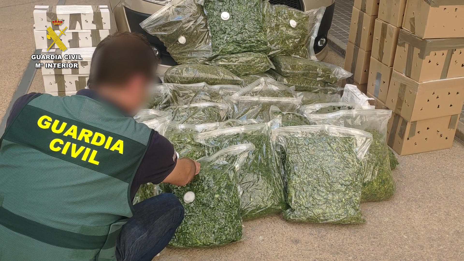 op Ikelos valencia foto10