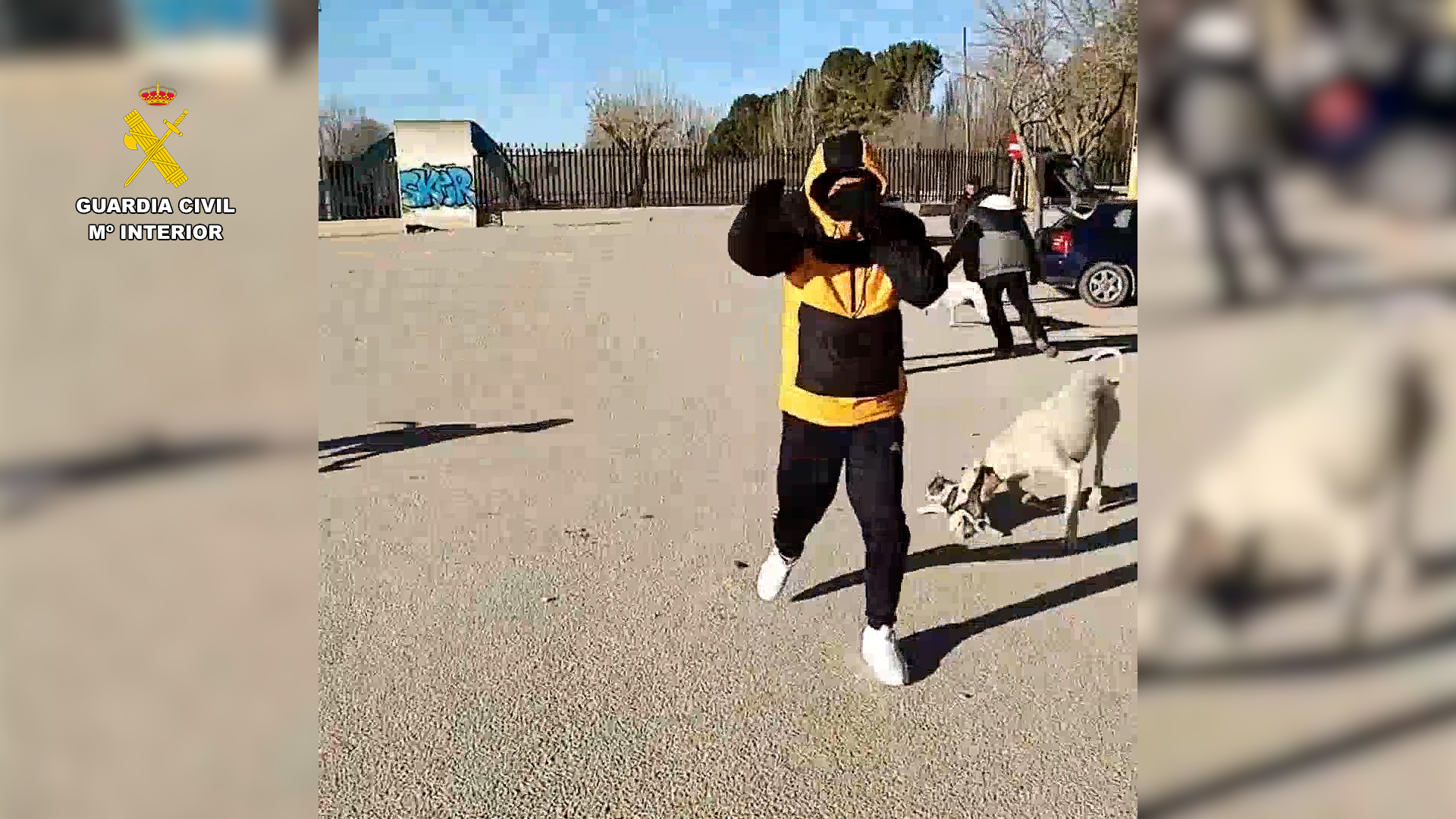 op albacete maltrato animal 2