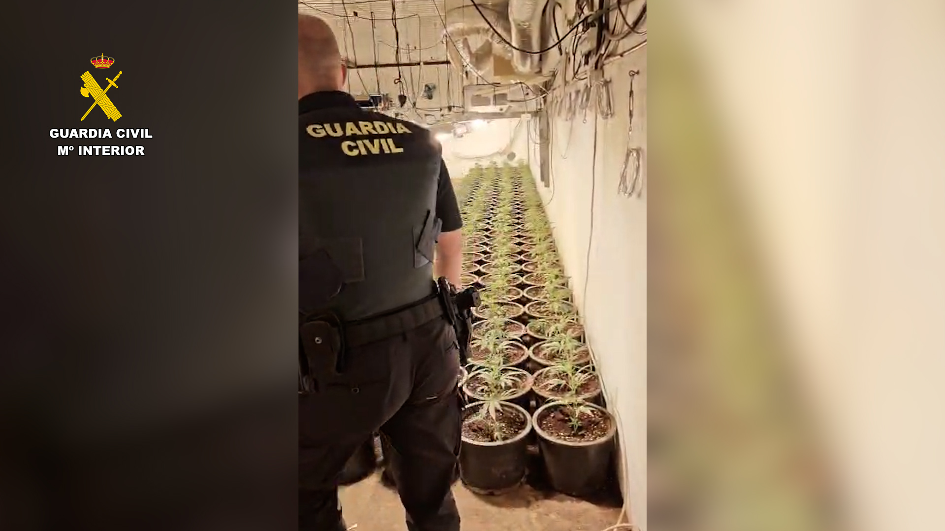 op marihuana almeria editada.00 00 17 11.Imagen fija003