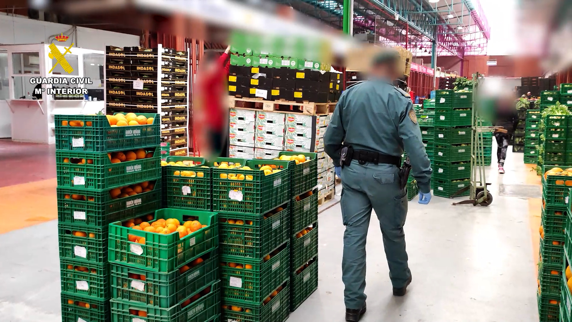 op orotava alicante editada FOTO 1