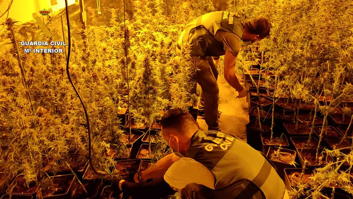 op romero sevilla foto6