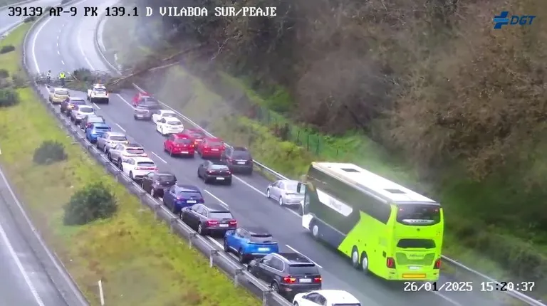 p 20250126 175550000