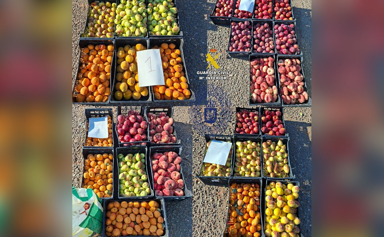 parte fruta intervenida