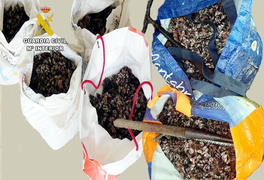 percebes suances y oreña