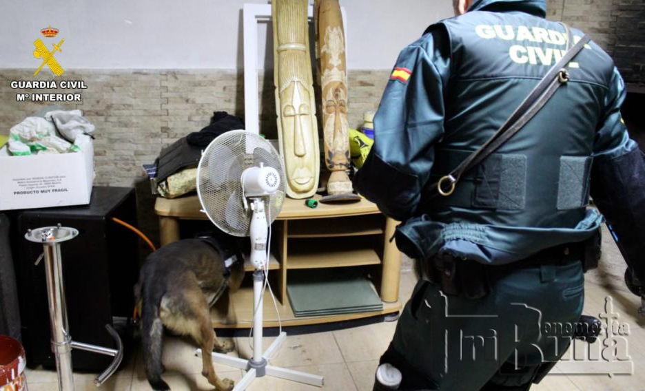 perro guardia civil durante operacion