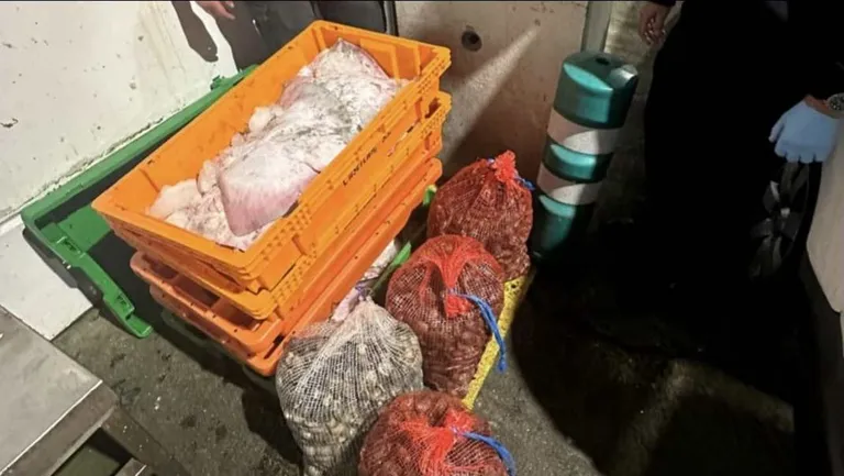 pesca ilegal control tui