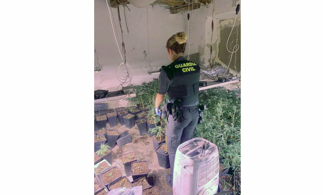 plantacion colomera granada