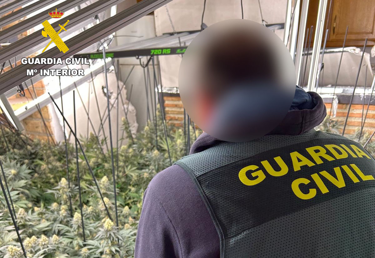 plantacion guardia civil recurso