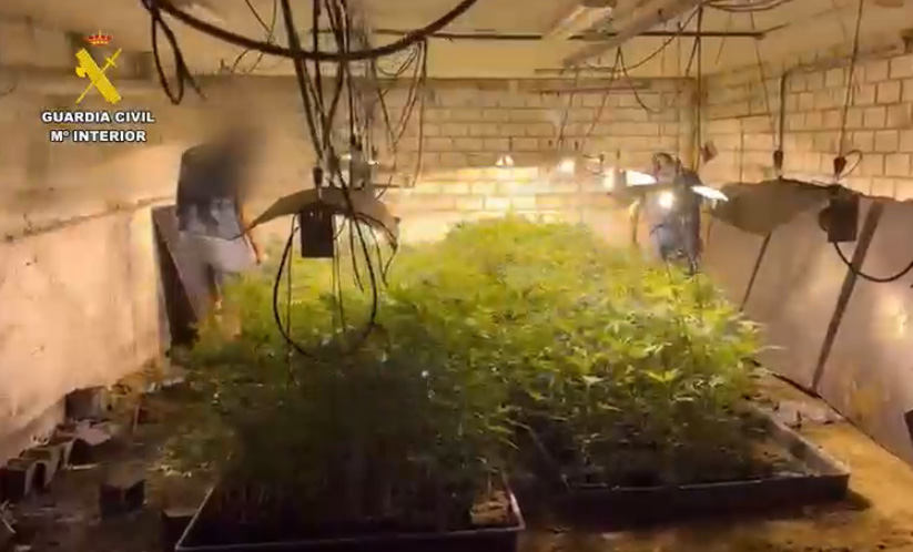 plantacion desmantelada 260818