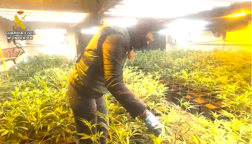 plantacion recurso 180325