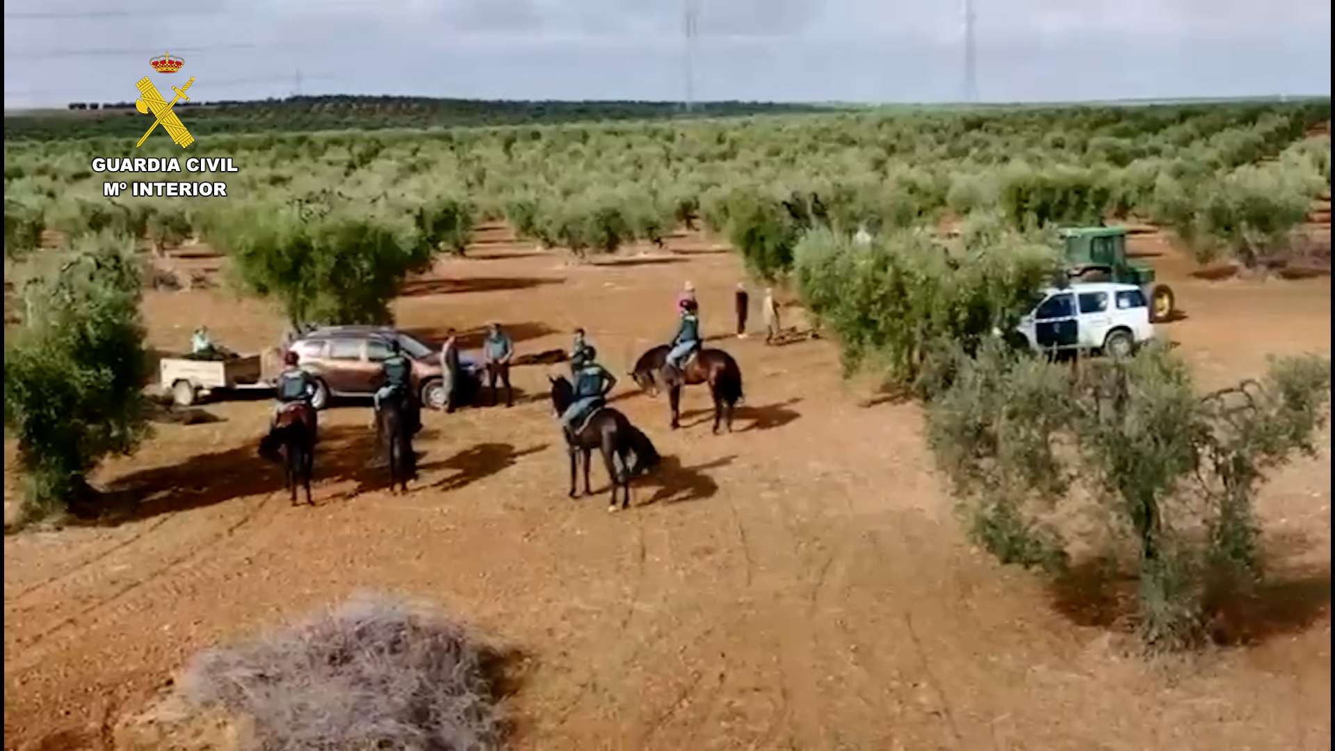 recogida aceituna badajoz.00 00 48 12.Imagen fija003