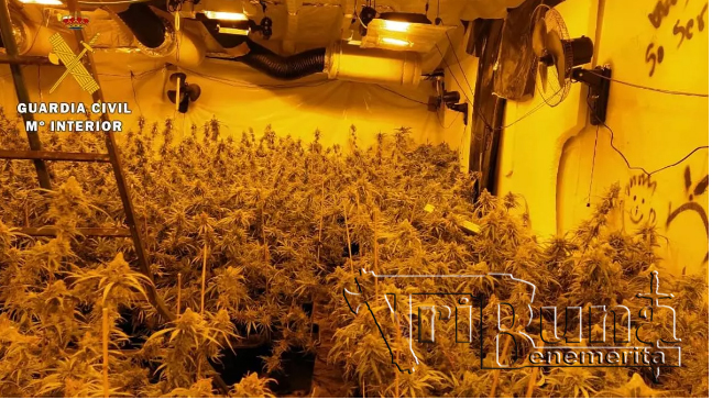 recurso marca agua plantacion