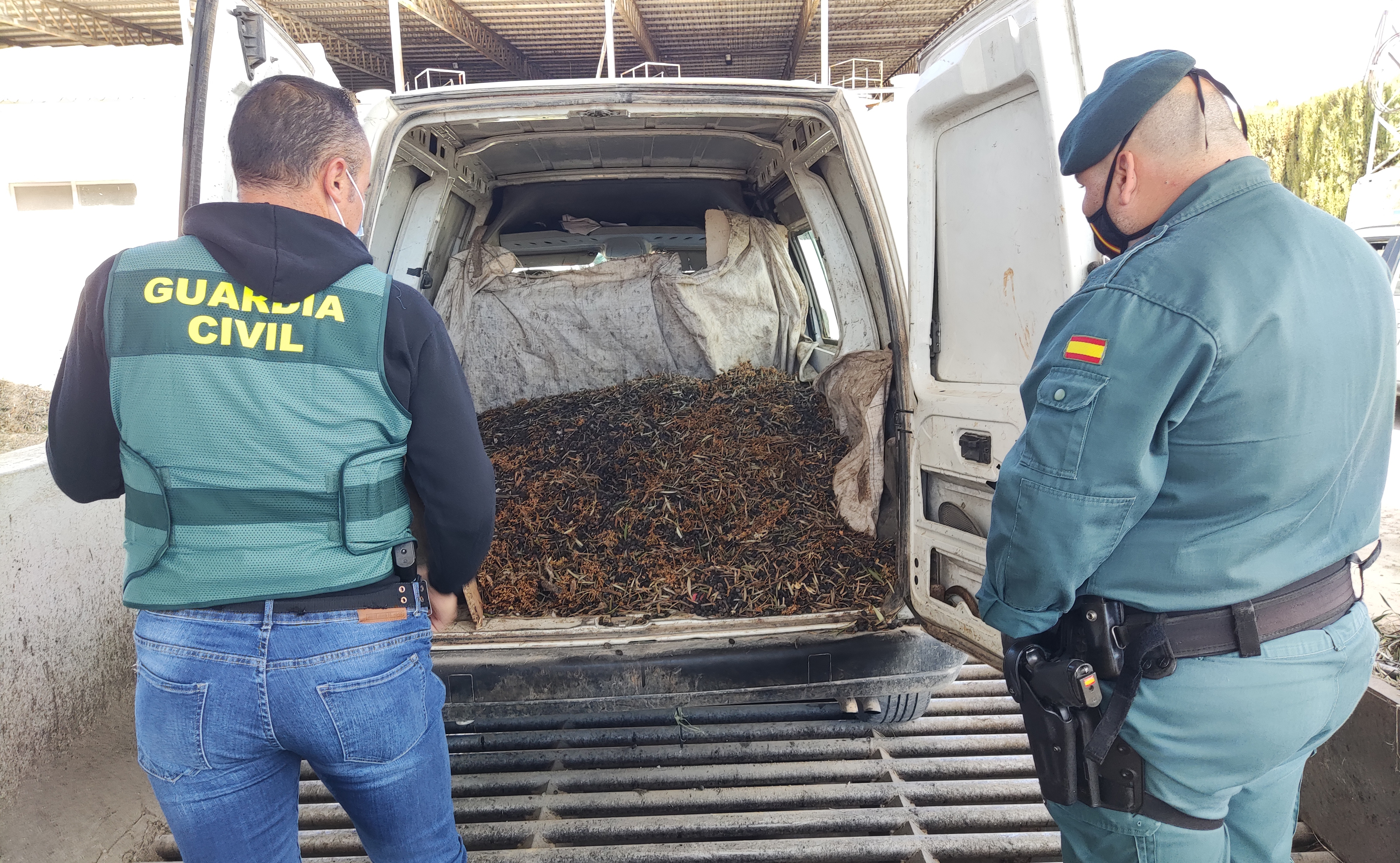 recurso guardia civil aceituna robo