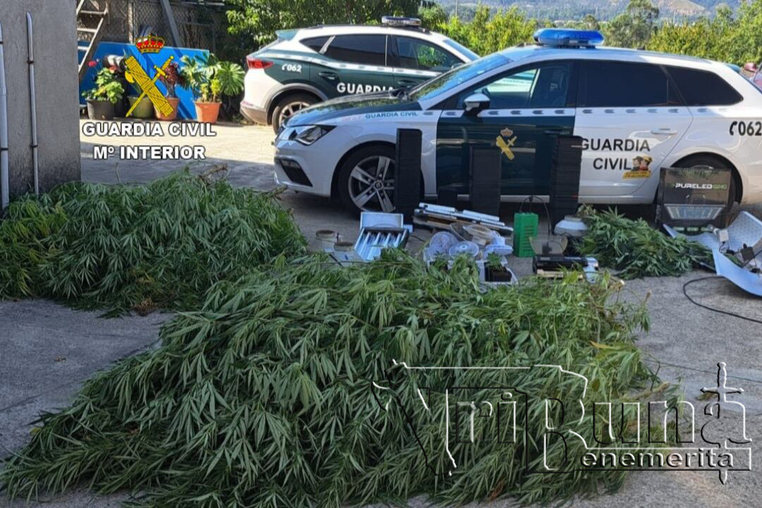 recurso guardia civil marihuana xxx