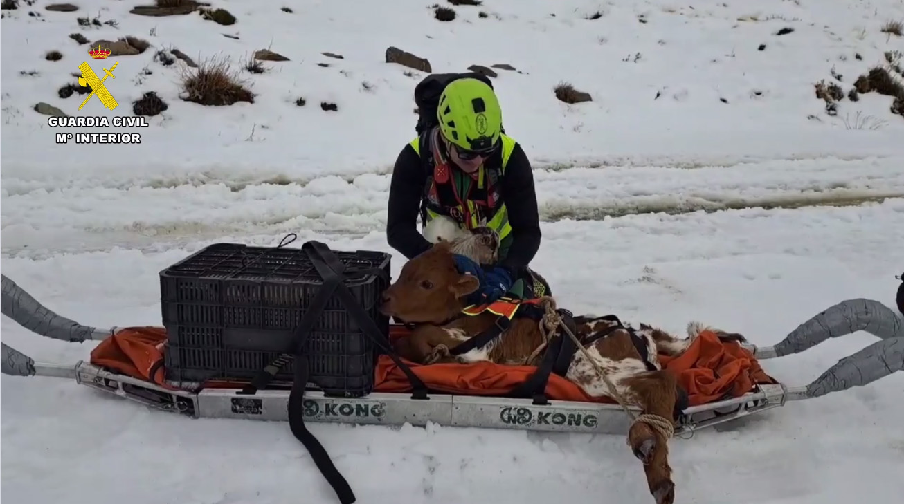 rescate animales greim granada