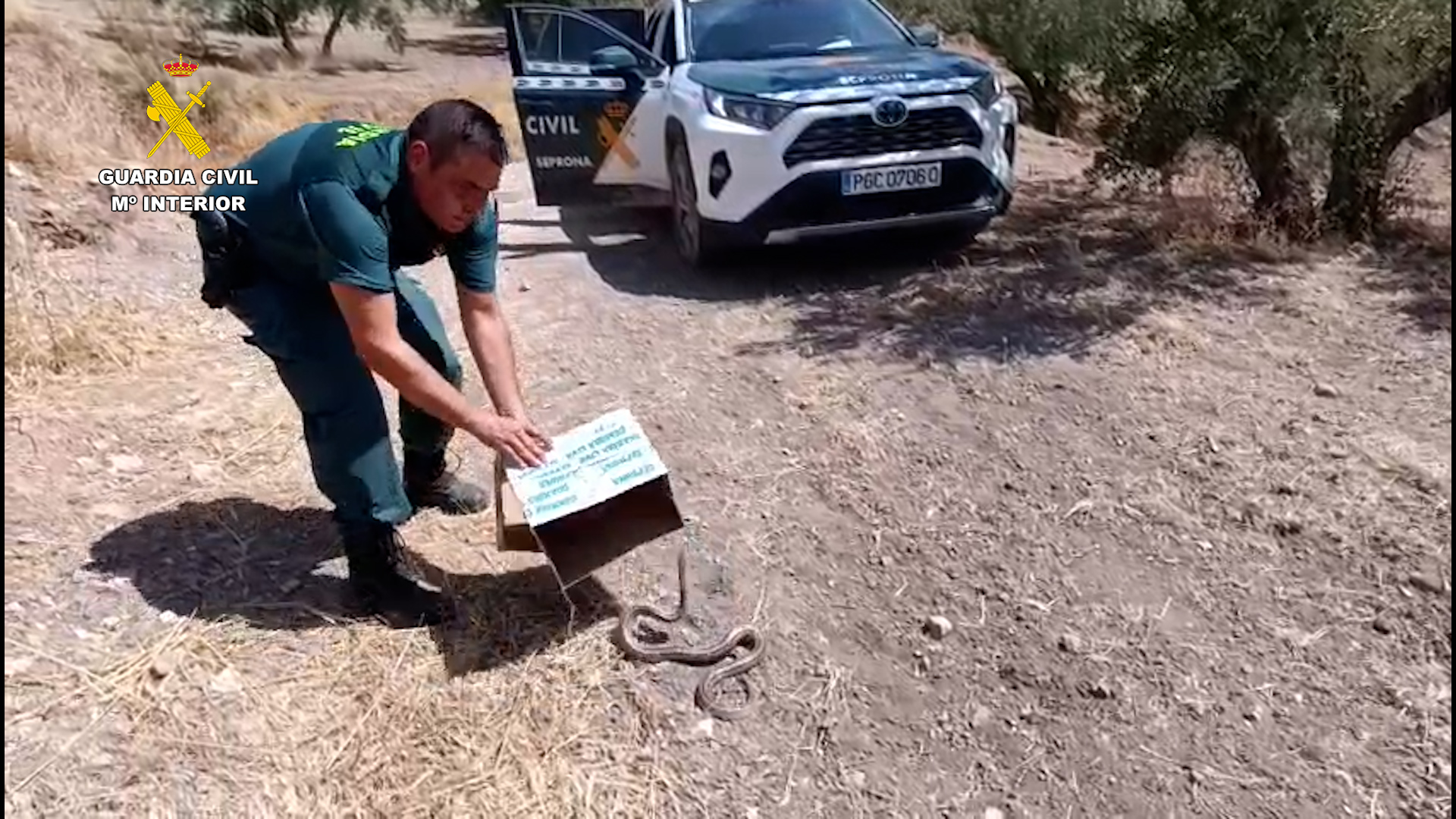 rescate culebra cordoba 02