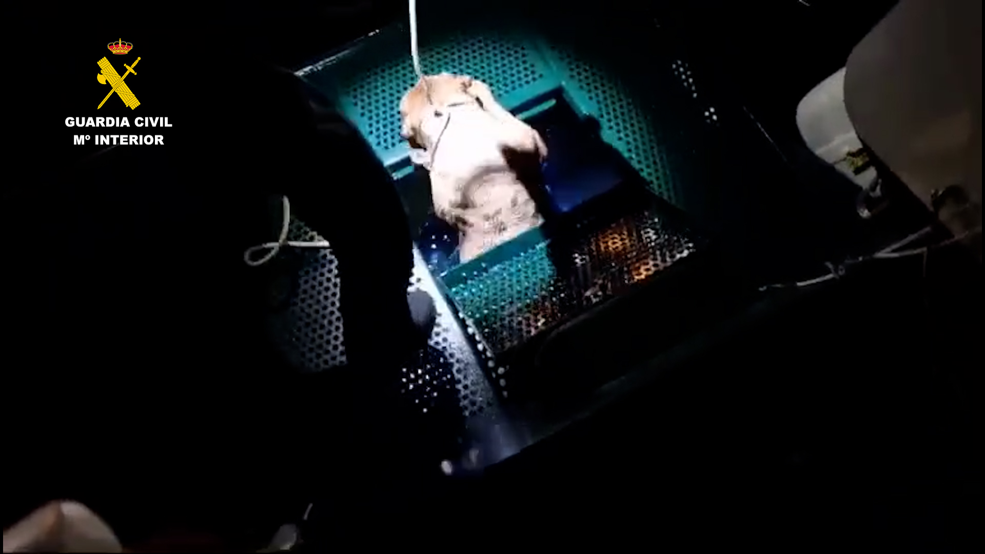 rescate perro cadiz editaeda.00 01 12 05.Imagen fija001