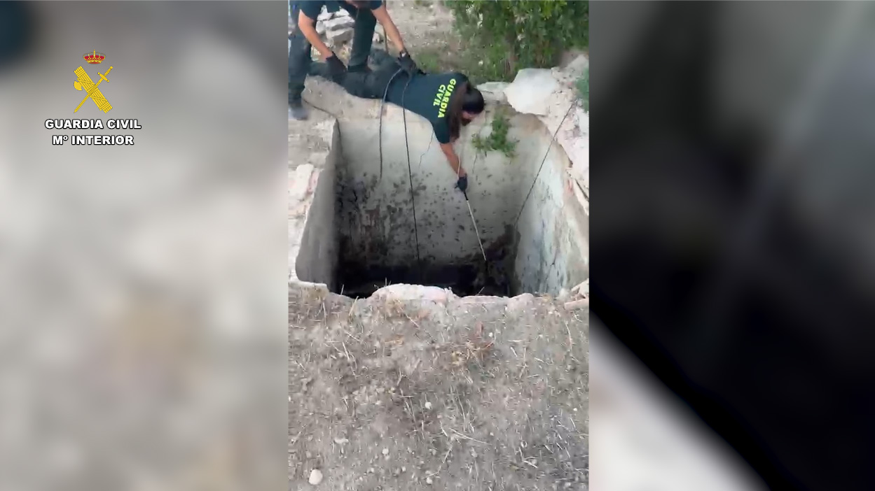 rescate zorro pozo alicante