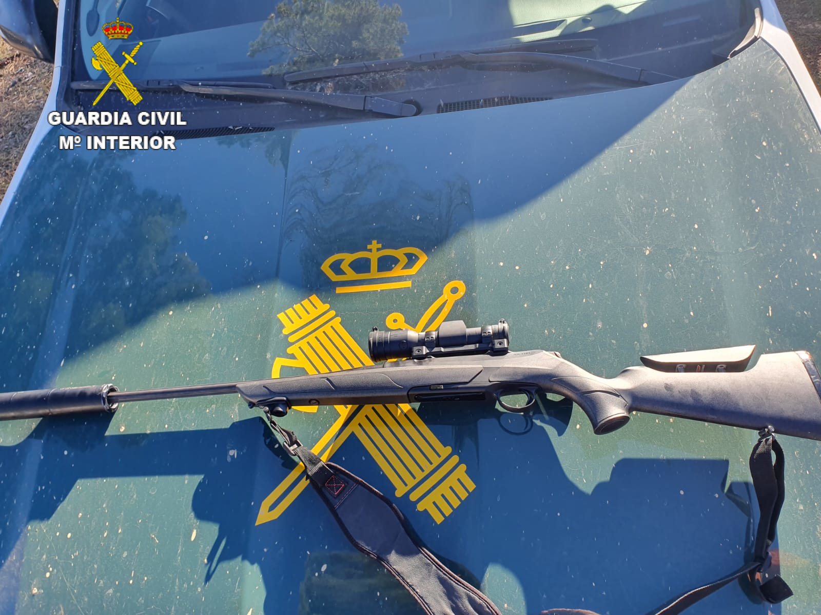 rifle