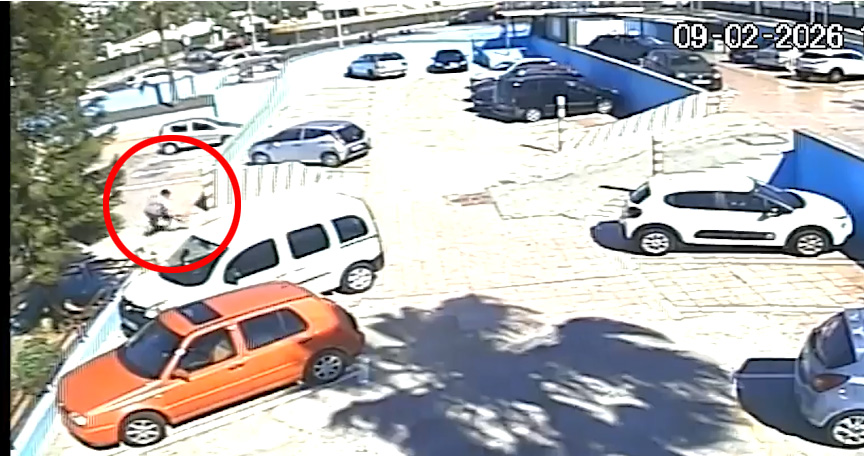 robo con fuerza las palmas