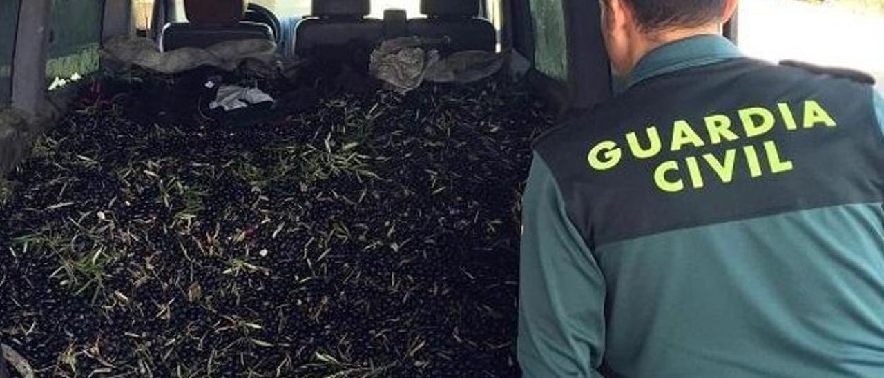 roca guardia civil aceituna