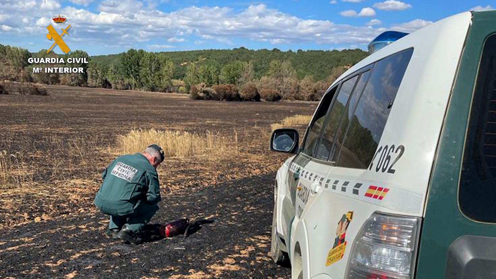 seprina incendio investigacion