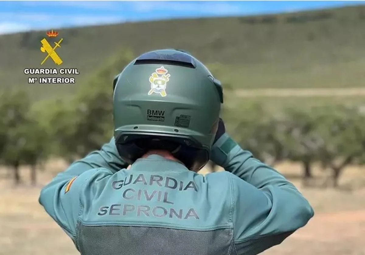 seprona bebe salvado guardia civil