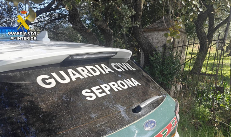 seprona gc recurso vehiculo