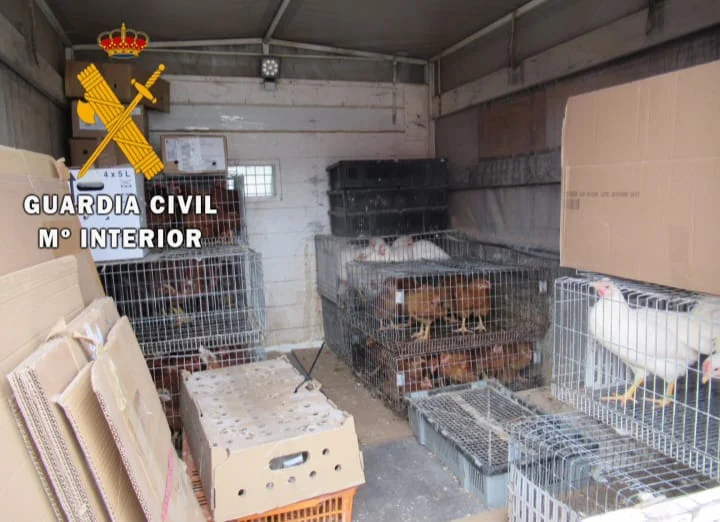 seprona guardia civil aves 3