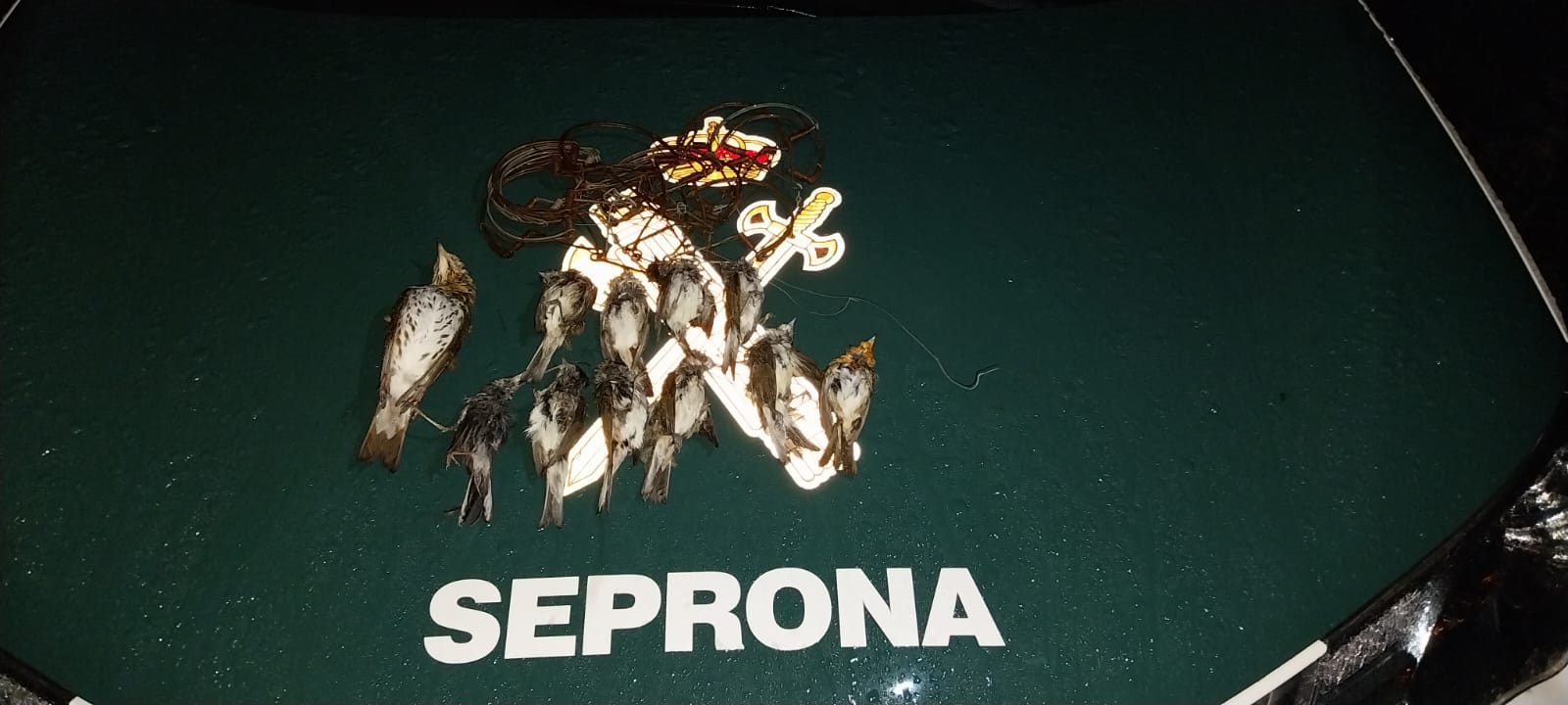 seprona230124
