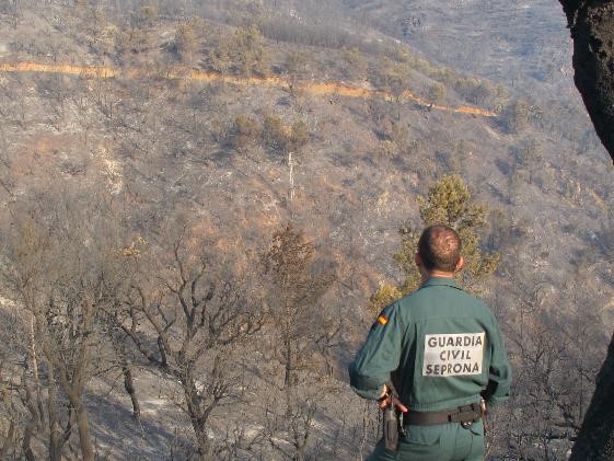 seprona incendio granada