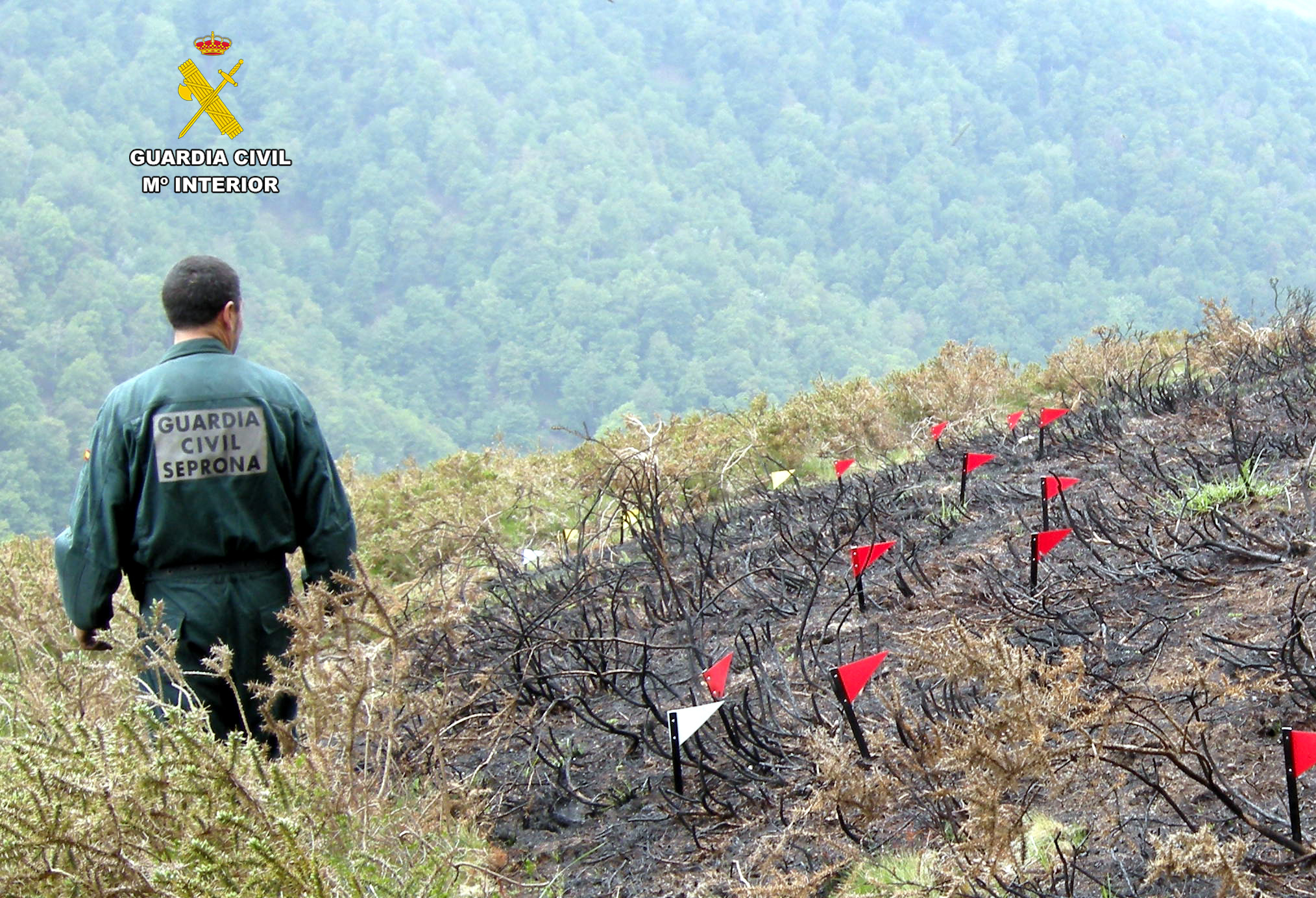 seprona incendio inspeccion archivo