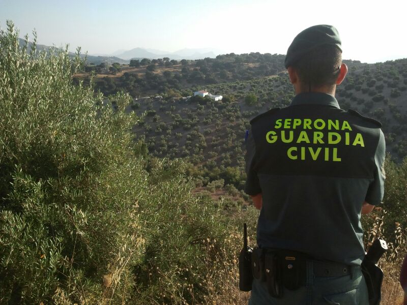 seprona recurso campo guardia civil