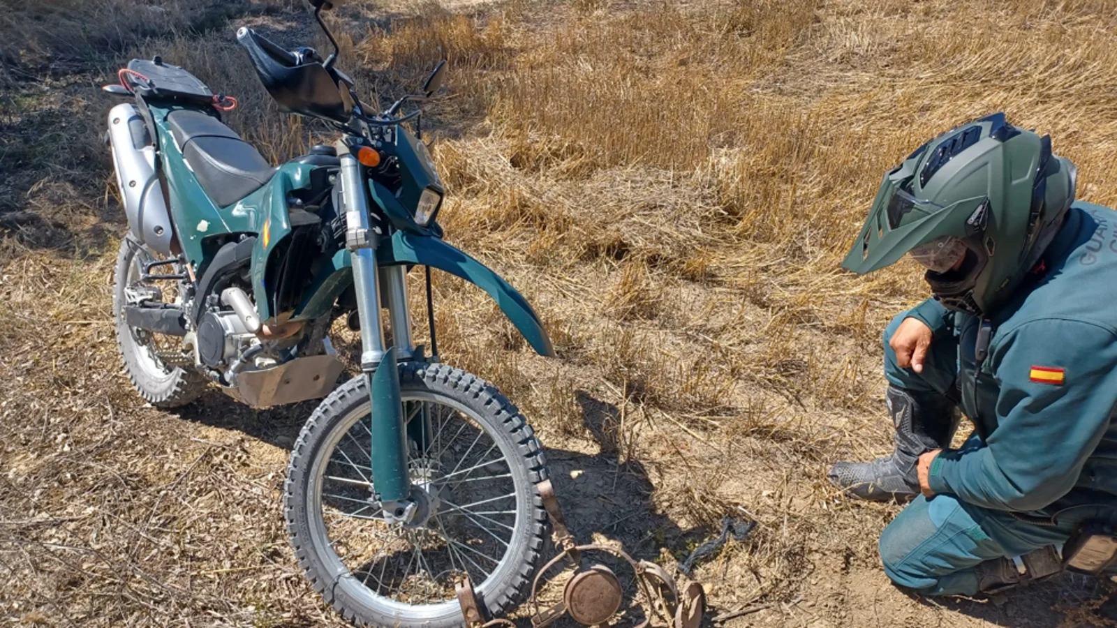 seprona uno cepos intervenidos 97