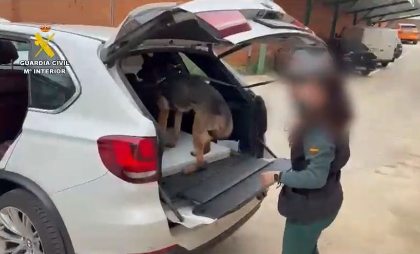 servicio cinologico madrid 130426