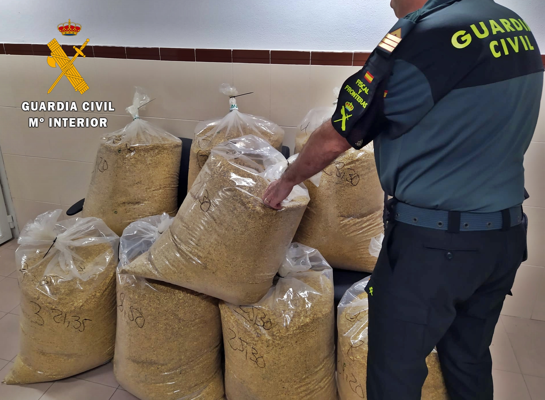 tabaco intervenido 1