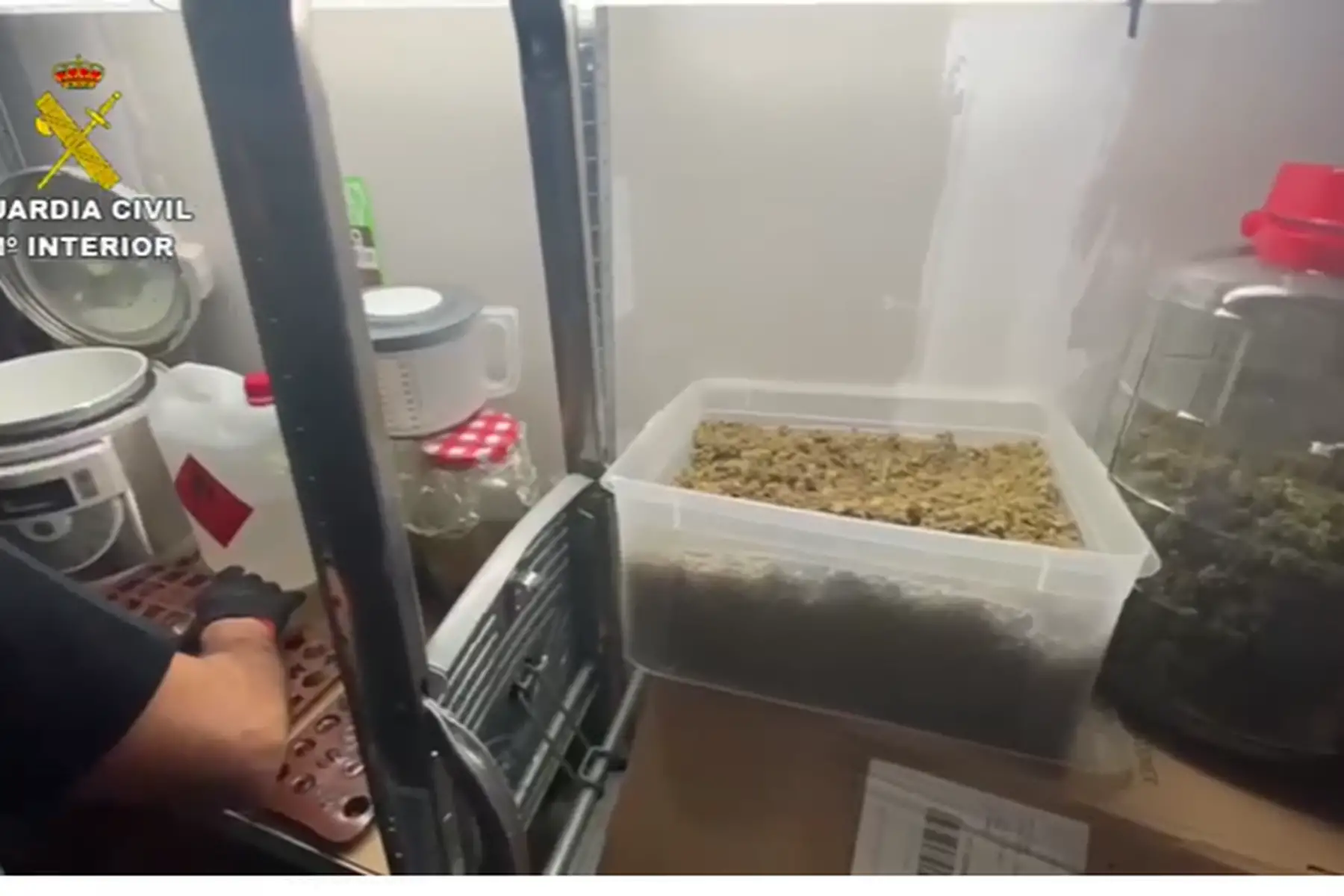 tarragona narcochuches