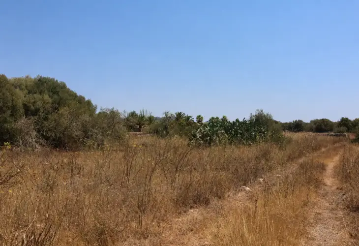 terreno santayí cuartel guardia civil