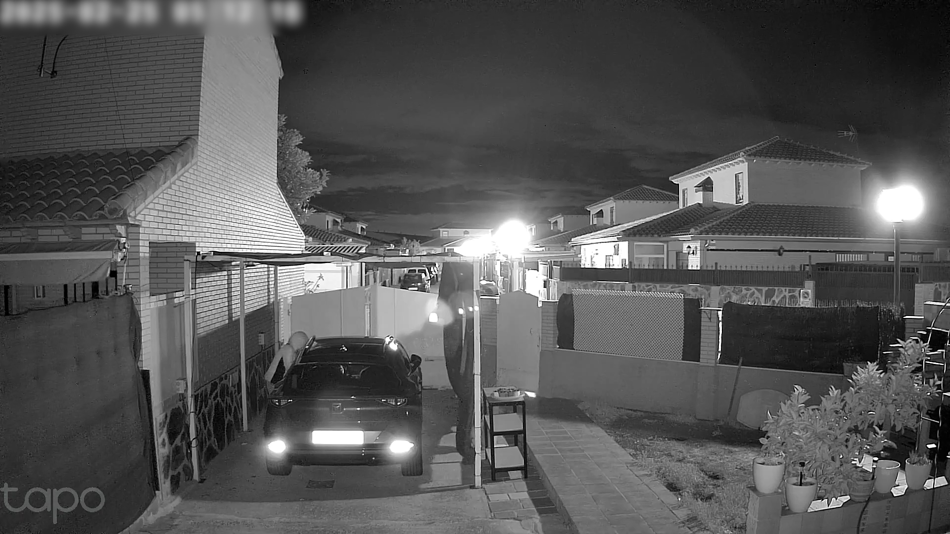 toledo mataleon 3