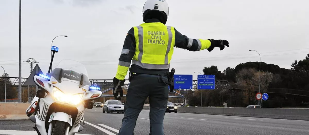trafico motorista seguridad vial