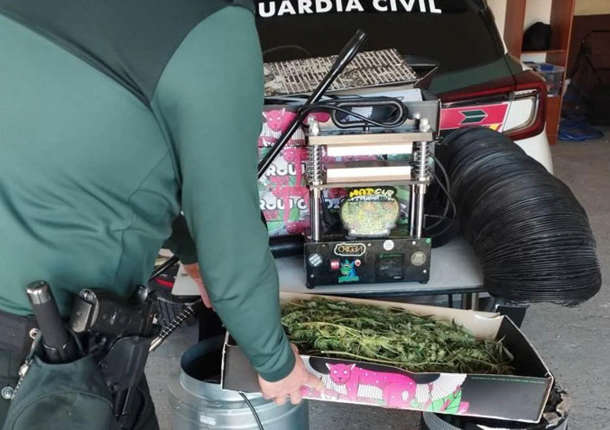 tudela droga