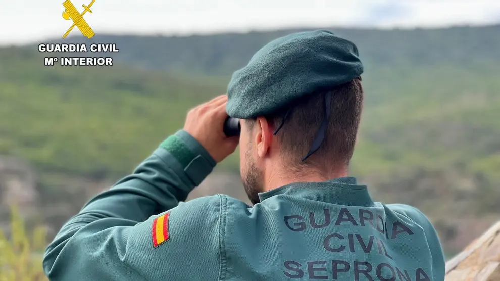un agente del seprona recurso