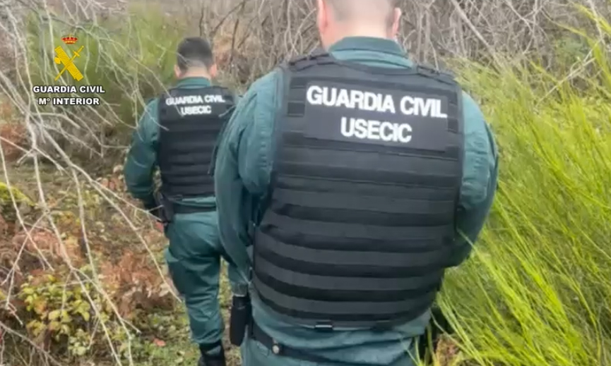 usecic madrid busqueda