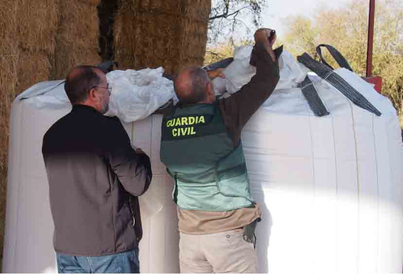 valladolid guardia civil