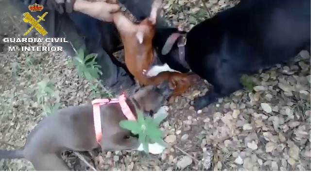 vlcsnap 2022 03 15 09h28m50s244