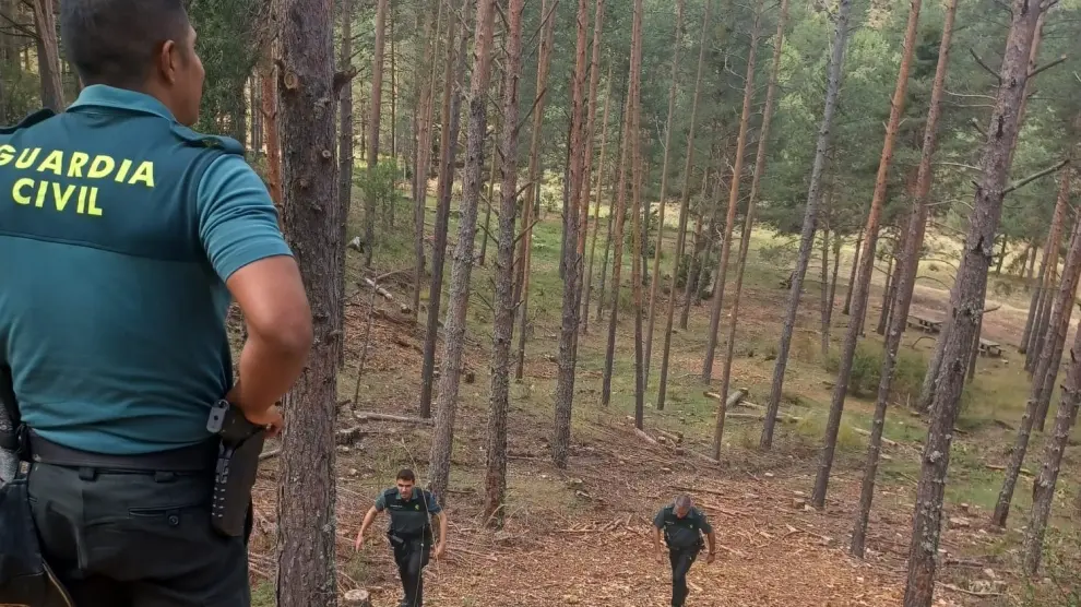 whatsapp image 2024 09 03 at 18 49 11 1