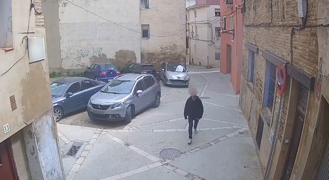zaragoza detencion ladron